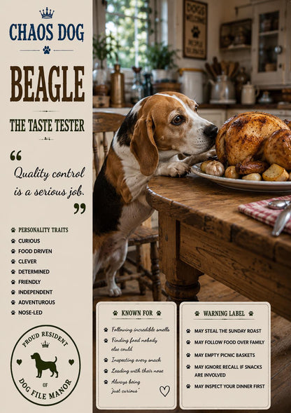 Chaos Dog Beagle Card, Funny Taste Tester Birthday Greeting, Dog Lover Gift