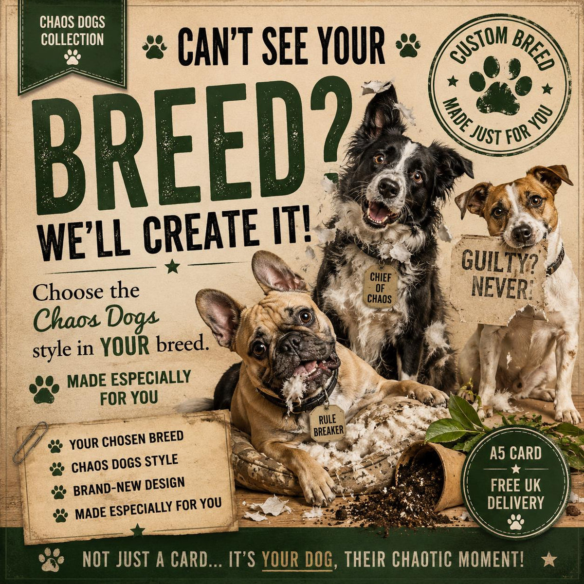 Custom Chaos Dog Breed Card, Personalized Birthday Gift (A5)