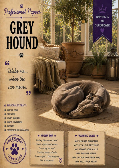 Funny Greyhound Card, Lazy Dog Gift, Professional Napper Greeting Card (A5)