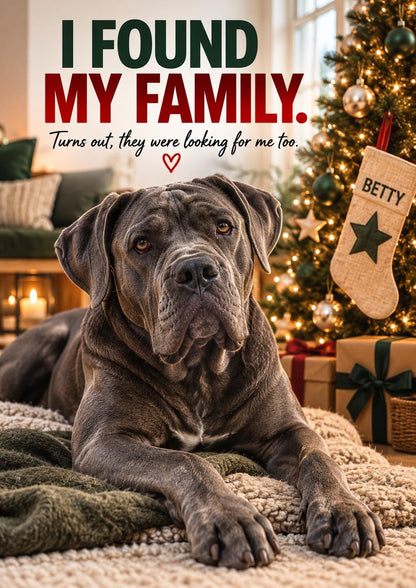 Personalised Rescue Dog Christmas Card, Custom Pet Photo, I Found My Family (A5 Card)