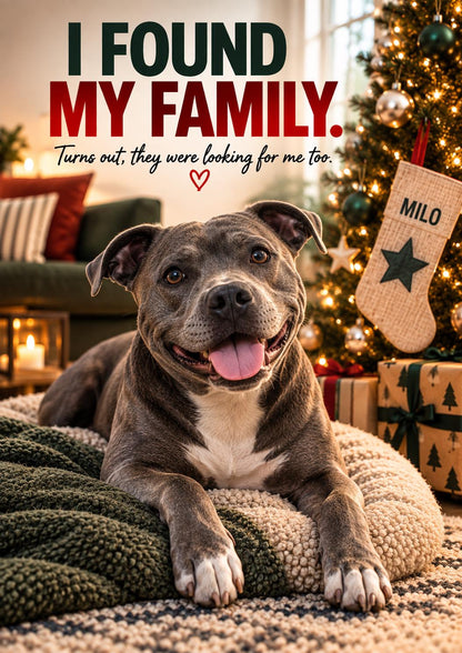 Personalised Rescue Dog Christmas Card, Custom Pet Photo, I Found My Family (A5 Card)