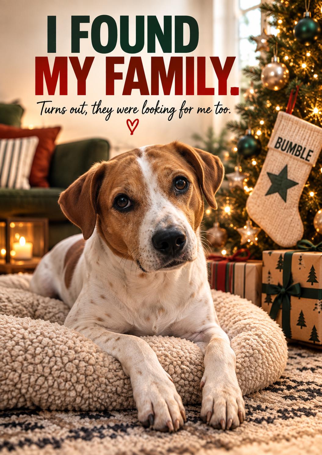 Personalised Rescue Dog Christmas Card, Custom Pet Photo, I Found My Family (A5 Card)