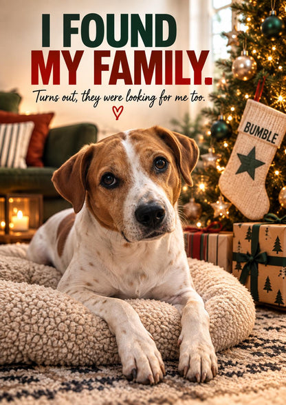 Personalised Rescue Dog Christmas Card, Custom Pet Photo, I Found My Family (A5 Card)