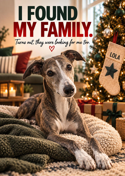 Personalised Rescue Dog Christmas Card, Custom Pet Photo, I Found My Family (A5 Card)
