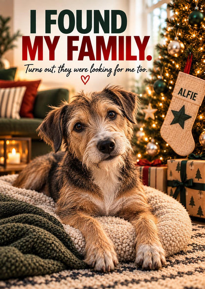 Personalised Rescue Dog Christmas Card, Custom Pet Photo, I Found My Family (A5 Card)